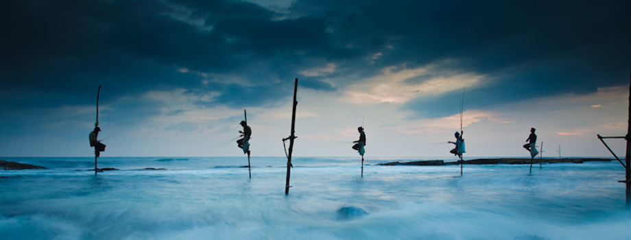 Sri Lankan, Stilt Fishermen